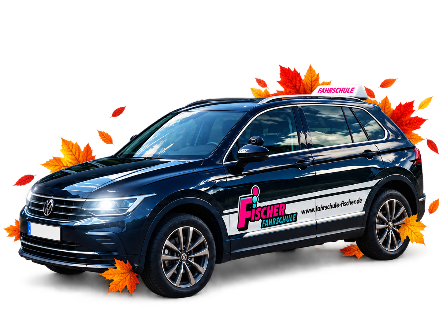 nur-auto Fuehrerschein Aktion in Stein Fahrschule Fischer